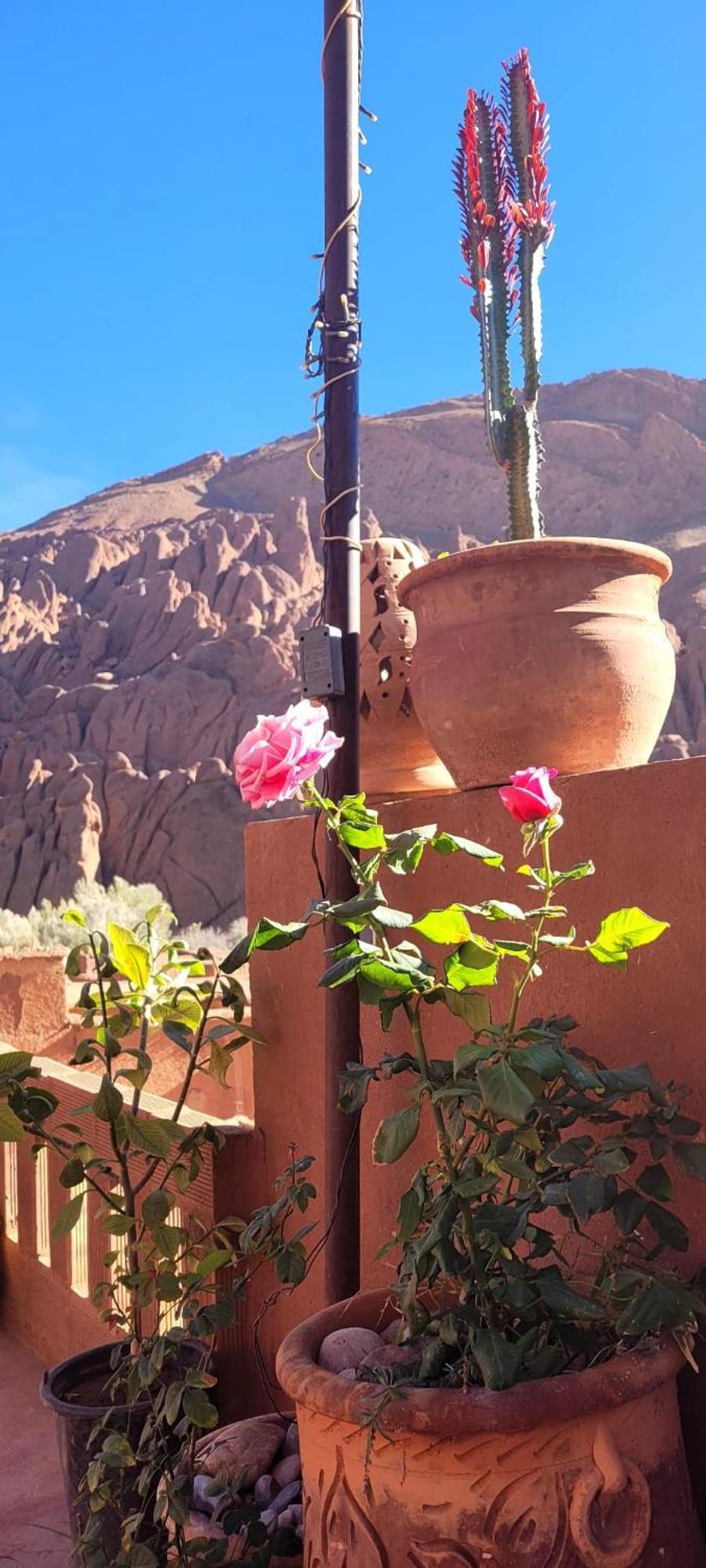 Tamellalt  Tafsut Dades Guesthouse Stay With Locals מראה חיצוני תמונה