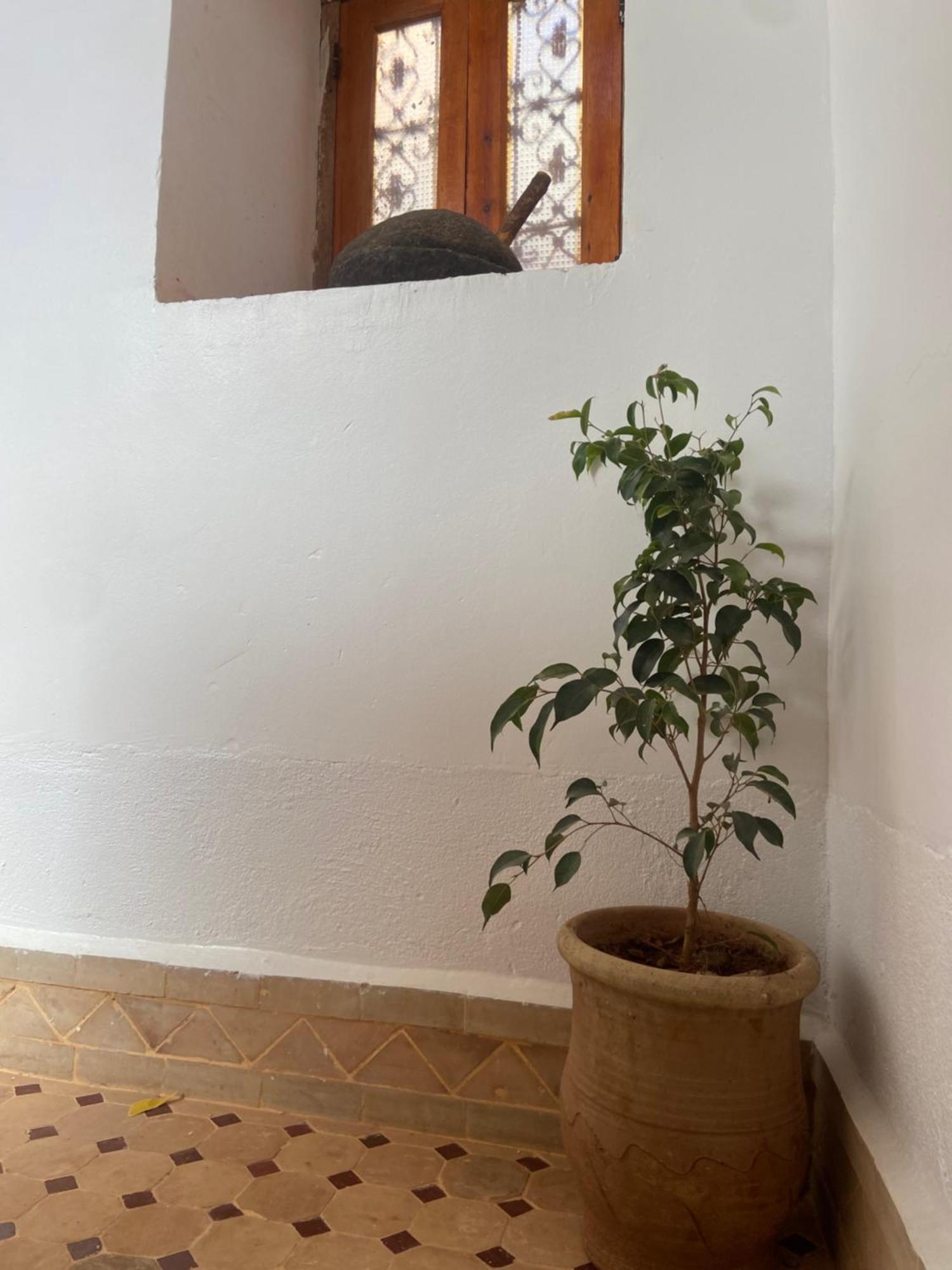 Tamellalt  Tafsut Dades Guesthouse Stay With Locals מראה חיצוני תמונה